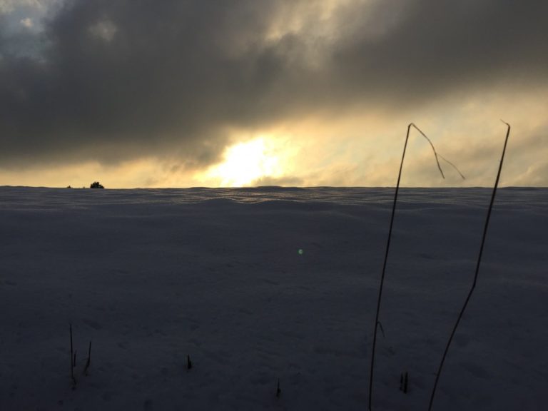 Gastbeitrag von Anne: Von der schwersten Woche meines Lebens – wie Angehörige mit einer möglichen Abtreibung umgehen 18 trauer