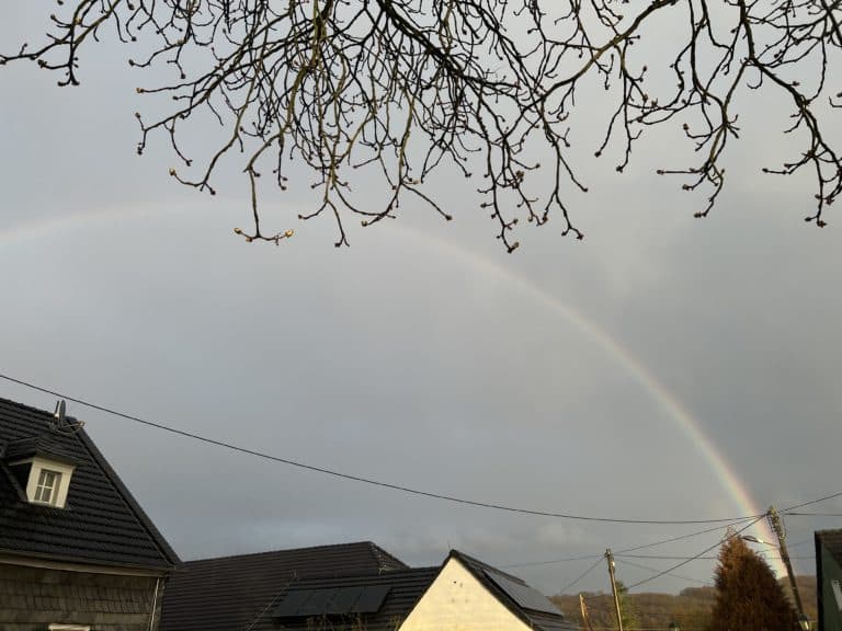 Schwangerschaftsabbruch: "Kein Baby nach dem Tod meines Mannes" 20 Schwangerschaftsabbruch