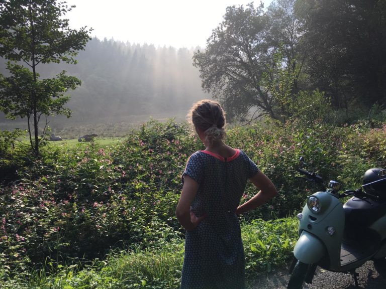 Führerschein mit 15