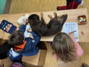 Assistenzhund: Eine Begleitung für meine Tochter mit PTBS 24 Assistenzhund