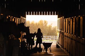 Landliebe: Annemarie Paulsen hat 4 Kinder und ist Landwirtin 16 Landliebe