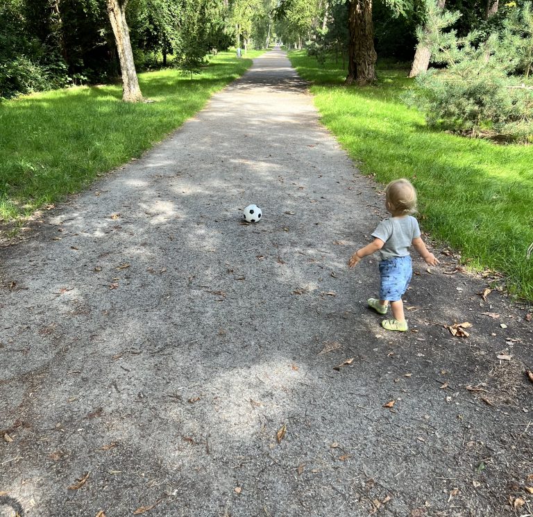 Alles hat seine Zeit