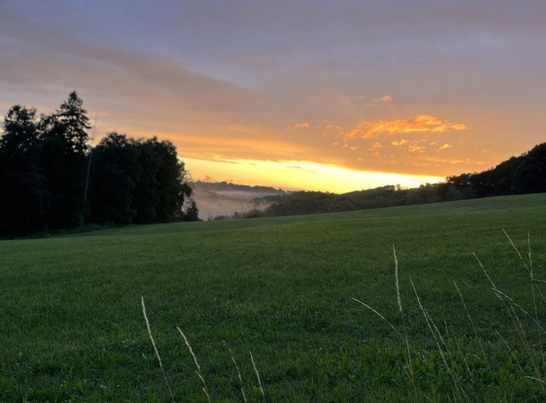 Ferienfreizeit und Buchgeburtstag